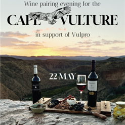 Stoeptasting- Karoo Sundowners & Fine Dining Charity Evening for Cape Vulture